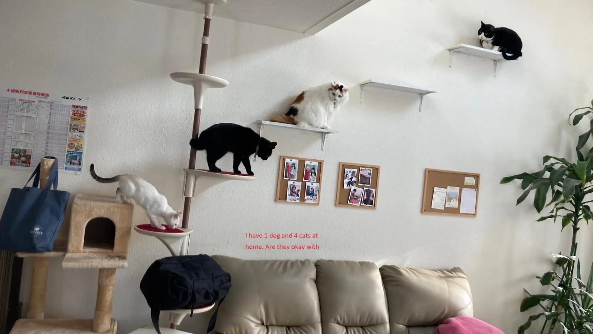 Penzion Otaru - House / Vacation Stay 57190